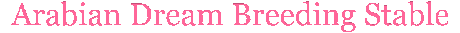 460>_645043
